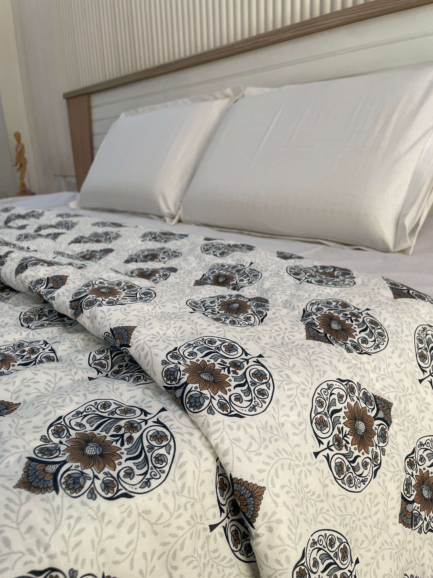 The Jaipur Dream